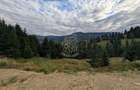 Parcele teren intravilan cu utilitati-panoramic-Colibita - 1