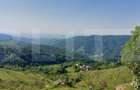 Teren extravilan pentru cabana, 3800 mp, zona-Ramet Transapuseana - 4