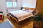 Apartament cu 3 camere de inchiriat, 57 mp, zona Centrala - 3