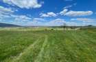 TEREN | BALNACA | 6301MP | BIHOR - 4