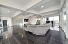 Penthouses de inchiriat, 200 mp. utili + 60mp. terasa - Mihai Viteazu - 2