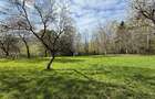Teren intravilan 763 mp in zona Bran-Tohanita,judetul Brasov - 15
