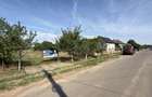 Teren Intravilan 1404 mp, Front 17 m Loc. Lucăceni SM -Str. Horea- Comision 0% - 7