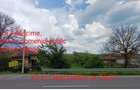 (101) Teren cu casa, pentru afaceri / Direct proprietar - 1