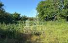 Casă de cărămidă în Sustra ,Topolovatul Mare cu teren de 1522 mp. - 14