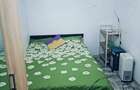 Apartament 2 Camere Tatarasi Sud - 4