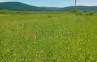 Oportunitate investiție agricolă | 750 ha societate | Județul Arad | - 2