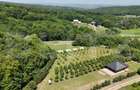 Glamping, piscicultură și turism spiritual - totul într-un singur loc - 2