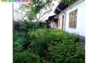Casa de vanzare - zona Traian(str.Nicopole) - 1