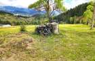 Teren de vis în Fundata 1934mp sau 3868mp, la înălțimea sufletului tău - 2
