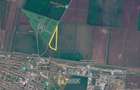 Teren agricol de vanzare Vladimirescu, Arad - 2