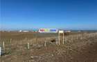 Teren intravilan 47.400 mp, Vama Veche, 200 m de Marea Neagra - 5