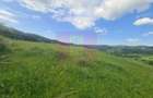 Teren intravilan de vanzare in Breaza (dezvoltare imobiliara) - 1