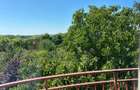 Casă individuală Buftea, 3.162 mp teren, ieșire spre lac - 39