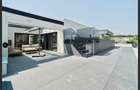 Penthouse Iancu Nicolae cu piscima - 10