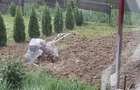 Casă P+M cu 1.558 mp teren, livadă și garaj | Barza, Gorj Comision 0% - 19