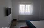 Apartament 4 camere, 2 bai, decomandat, Craiter,suprafata 83 mp, mobilat, utilat - 23