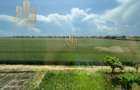2-Decomandate-Casa-Duplex-55mp-Utili-Curte-Privata-Mobilat-Utilat-Parcare-Pod - 9