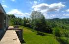 BREAZA – OCINA DE SUS – VILA EXCLUSIVISTA – 343 mp – 5000 mp TEREN – 195.000 EUR - 15