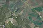 Teren cu destinatie industrial / logistic - 1