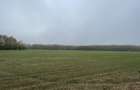 9400 mp | Ideal pentru investitie | Tunari | Deschidere la padure - 5