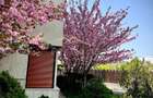 Casa/ Vila Duplex P+1+M zona Sisesti/ Baneasa - 1