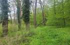 SUPER  OCAZIE TEREN 4000MP DE VANZARE IN SNAGOV CU DESCHIDERE LA LACUL SNAGOV - 6