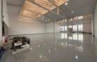 Showroom zona Carrefour Felicia Iasi, de la 107mp la 2000mp, Kaufland - 16