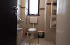 Apartament 2 camere - Titan   Nicolae Grigorescu - centrala termica - 10