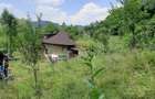Proprietate pe Valea Vâlsanului – Cabane din lemn + Casă ecologică COB - 8