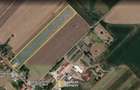 Proprietate pentru investiții | Moară și teren 23.861 mp - 16
