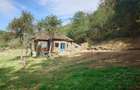Teren, padure si casa in Dumbrava de Jos, jud. Hunedoara - 17