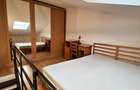 Apartament tip duplex in Tudor Vladimirescu,în spate la Iulius Mall - 4