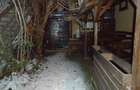 Inchiriez spatiu comercial  - 7