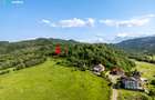 Teren cu vedere superba spre Cheile Rasnoavei, 8800 mp, la marginea pădurii - 7