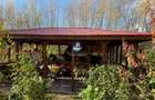 Casa 240 mp utili P+M, 9000 mp teren, Girov, Jud. Neamt - 12