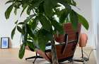 Vanzare apartament 3 camere  tip penthouse- Lux - Nusco - 17