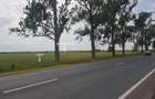 TEREN CU POTENTIAL INDUSTRIAL/ SERVICII | 9,44 HA | ARAD, PECICA - 4
