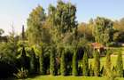În Gyula, două proprietăți imobiliare de vânzare în zona turistică  - 6