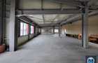 Spatiu industrial de vanzare, zona Exterior Vest, 798.55 mp #15366 - 8