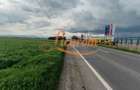Teren Stupini Calea Feldioarei 11800 mp,25 euro/mp, front asfalt-DN13 - 3