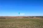 Rediu Horlesti 30000 mp  Soseaua DJ 282 - 3