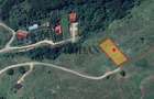 Oportunitate investiție 1153mp Tarnița - Micești - 6
