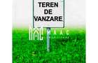 Teren Intravilan | 6000 mp | Turnisor - 1