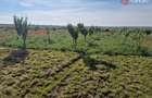 Teren extravilan de 3500 mp de vanzare in Remetea Mare - 3