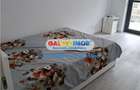 Apartament de inchiriat 2 camere - Hils Theodor Pallady - 4