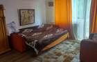Casa vedere spre pădure, Traian, Bacau - 2