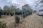 Teren 1300mp Campineanca / Intrare din Strada Hotarului - 4