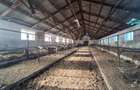 Ferma complet echipata de vanzare – zona Agnita, judetul Sibiu - 11