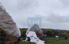 VIla de vanzare Teisani Stubeiu 11250 mp - 7